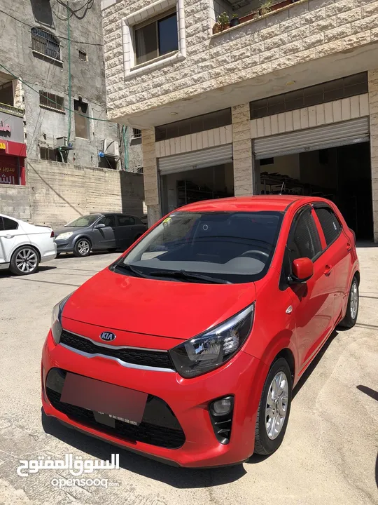 مورنينج بالكراتين بلون مميز