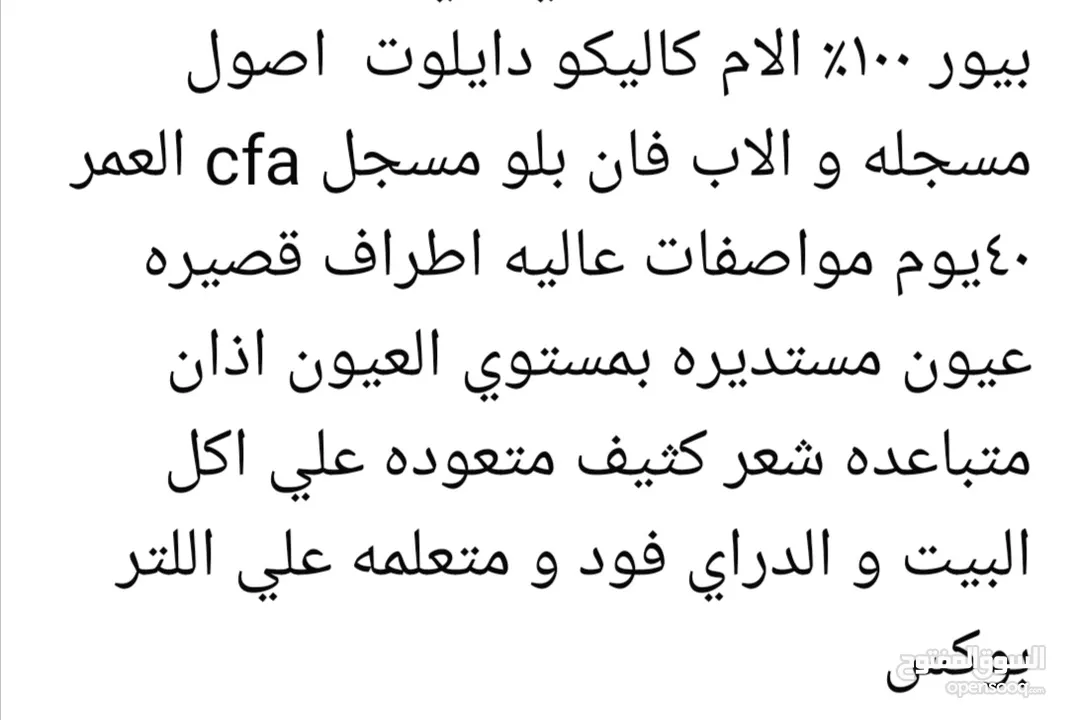بيرشن  للبيع شهر ونص