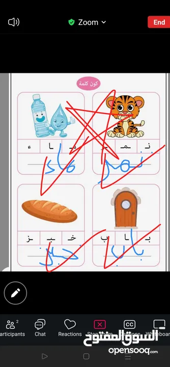 تدريس مادة اللغة العربية ( ابتدائي) خبره خمس سنوات في مجال التأسيس والصفوف الأولية