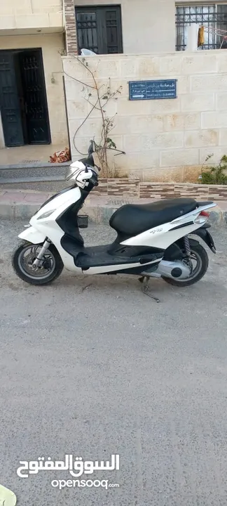 بياجو فلاي 2015