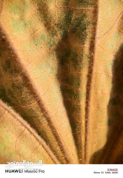 Mate 60 pro 5G