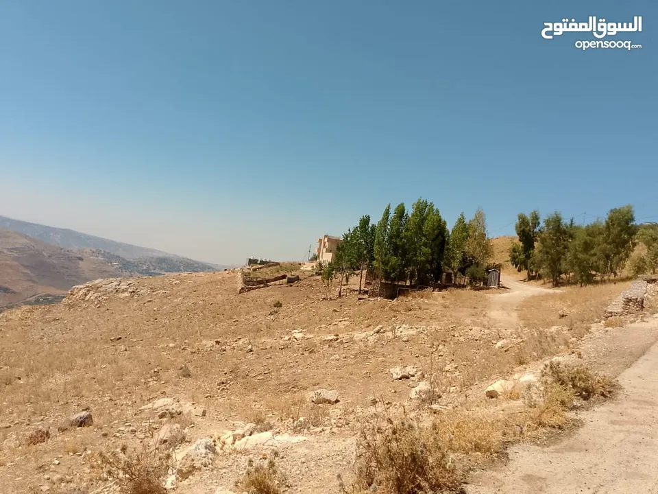 للبيع 4دونم السلط حوض الفزره قرب السرو مستويه مطله جميله بسعر مغري جدا جدا