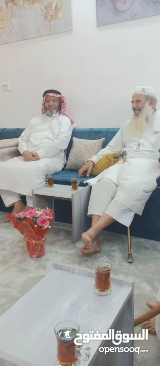 مطلوب طيور بدل على عسل