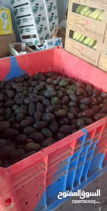 مشروع تجاري مربح