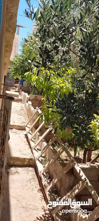 بيت طابقين منطقه شومر