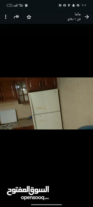 شقه مفروشه للايجار