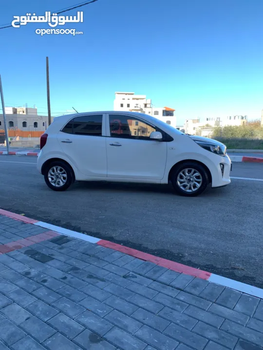 كيا بيكانتو كرتونه