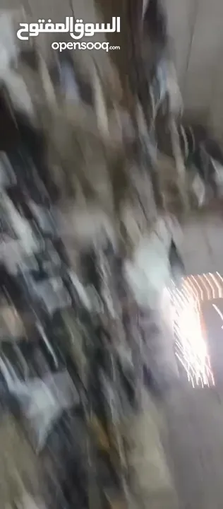 75 جوز حمام 40,جوز اجنبي انواع 35 بلدي بيع خمر كامل