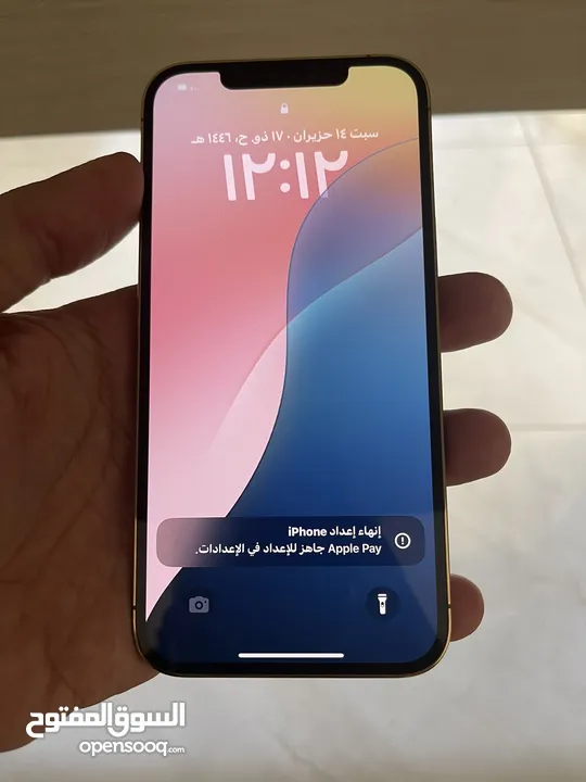 iphone Xs Max - 14 pro