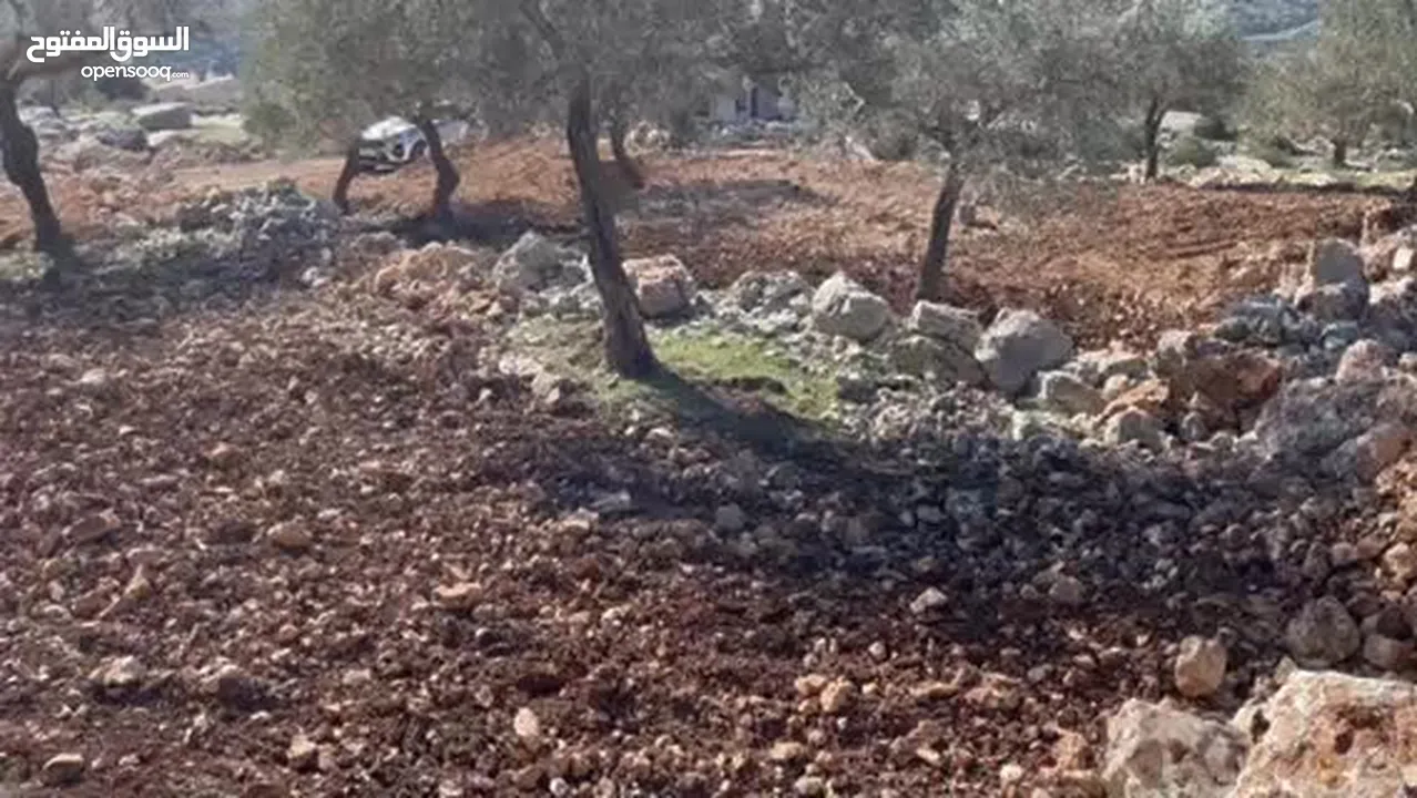 قطعة ارض للبيع في بيرزيت