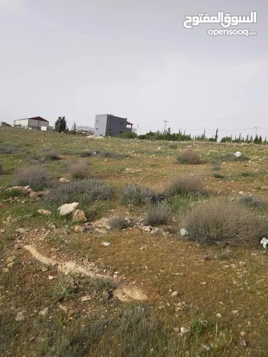 3600م للبيع رحاب بني حسن مرتفعه ومطله ع طريق اريد الزرقاء من المالك مباشره