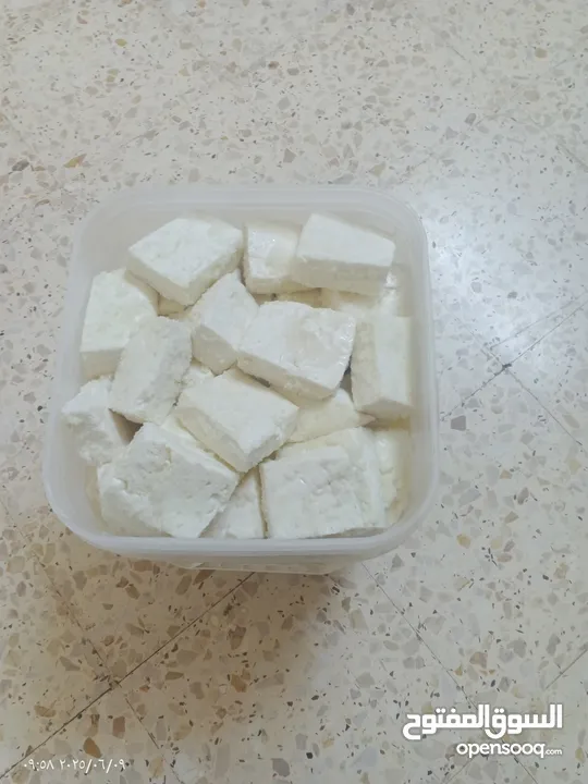 متوفر جبنه غنم وجبنه معز