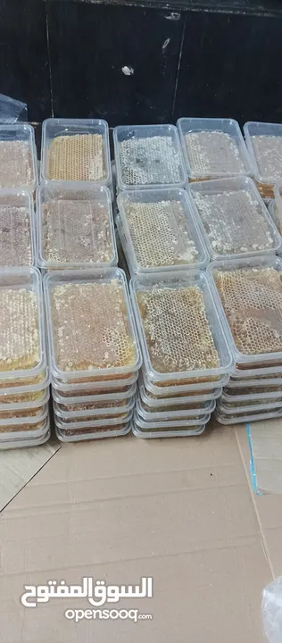مطلوب طيور بدل على عسل