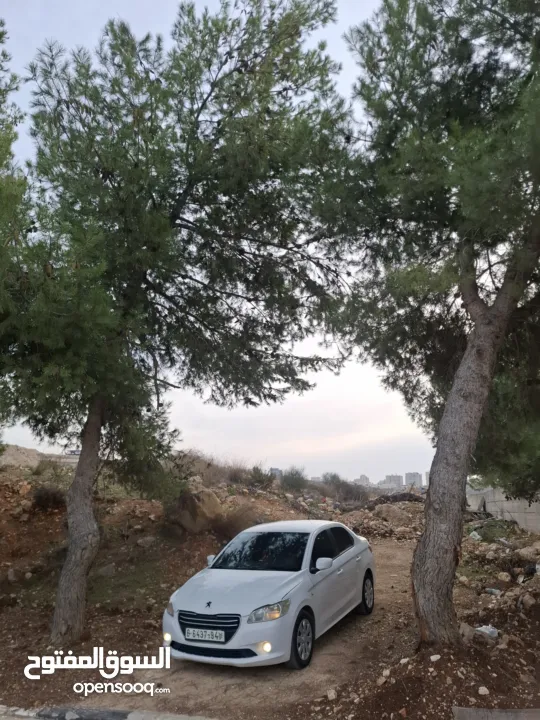 بيجو 301 موجوده في رام الله