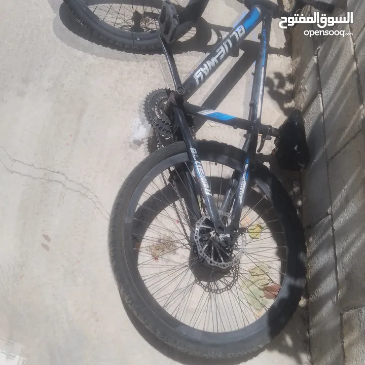 بسكليت24 تركي