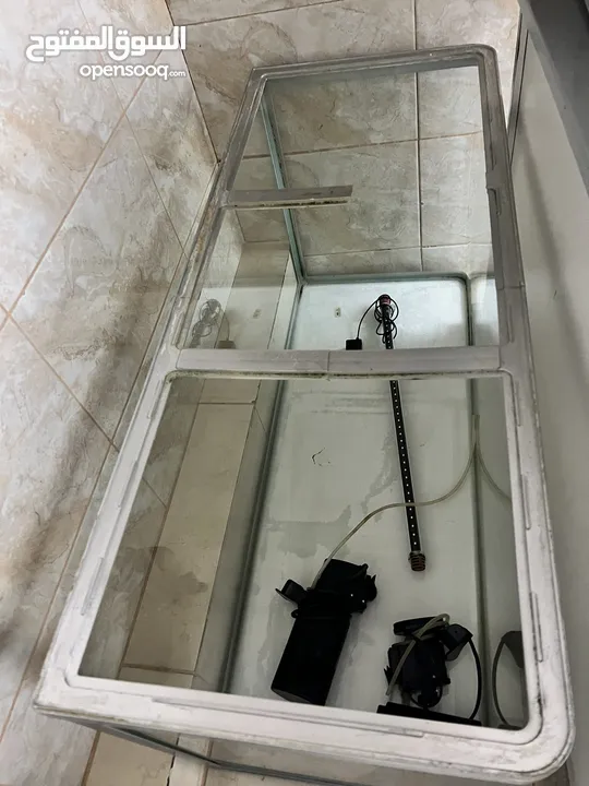 حوض سمك نضيف للبيع