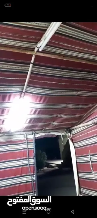 خيمه كتان سعودي نظام خليجي