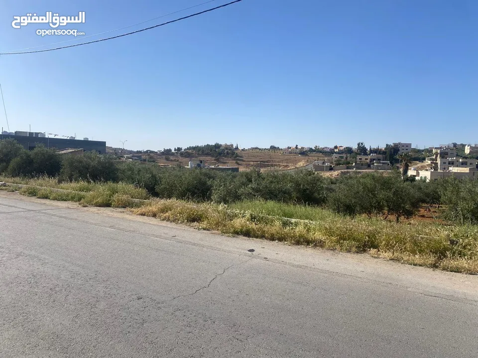 قطعتان ارض للبيع احدهما تجاري و الاخرى سكني ب على مدخل ذيبان /مادبا