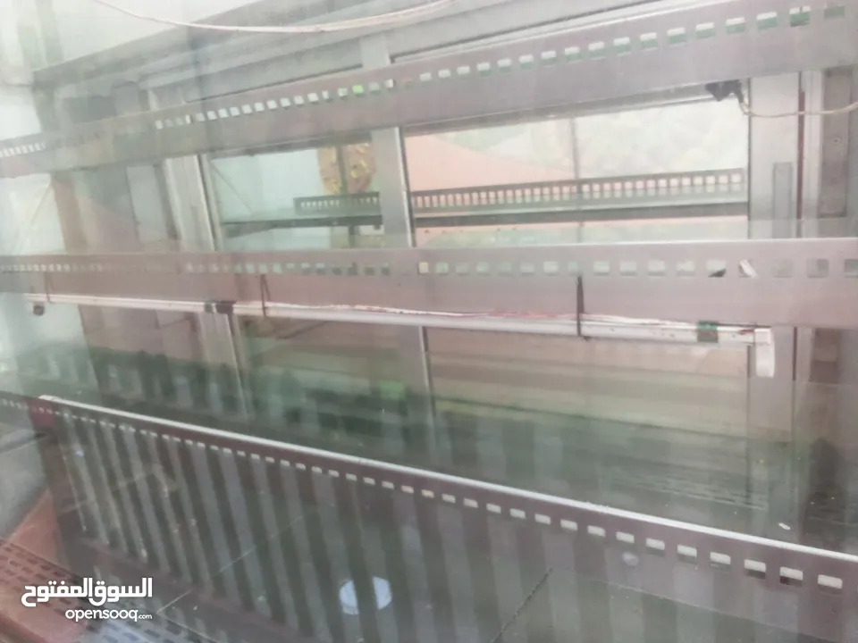السعر من الاخر.. ثلاجة عرض عفانة بعلبكي
