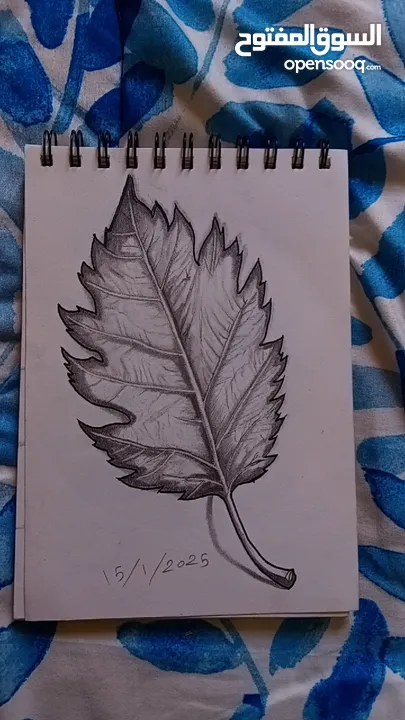 بيع رسمات متنوعة على حسب طلبك والاسعار على حسب الرسمة