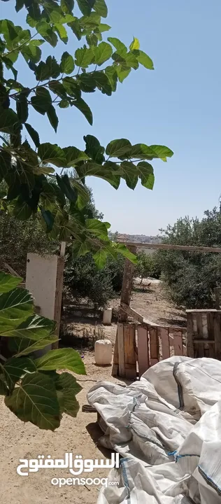 بيوت للبيع
