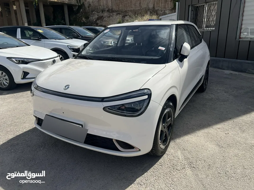 Dongfeng Nammi Box 2023