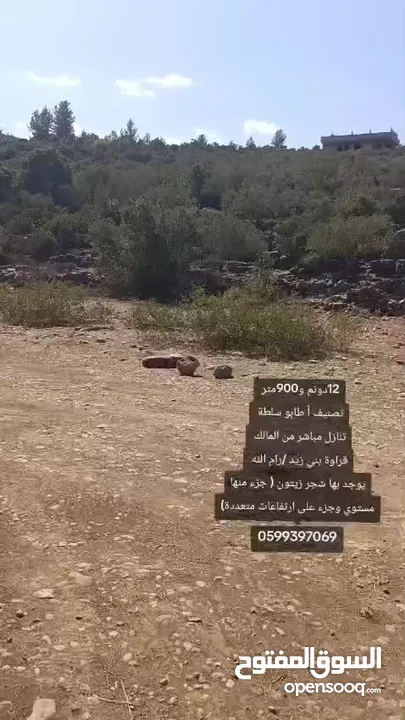 ارض مميزة للبيع