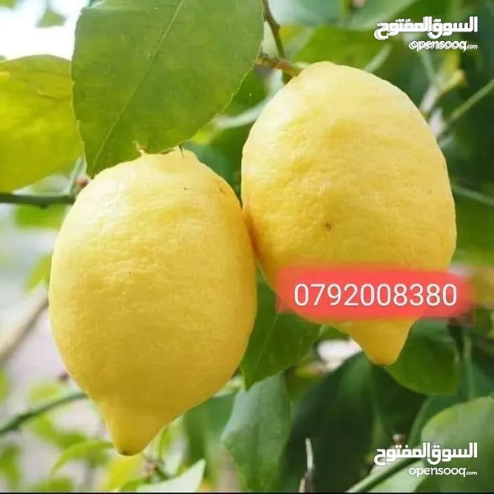 مزرعة لقطة مميزة مع بيت طابقين مطلة ومرتفعة