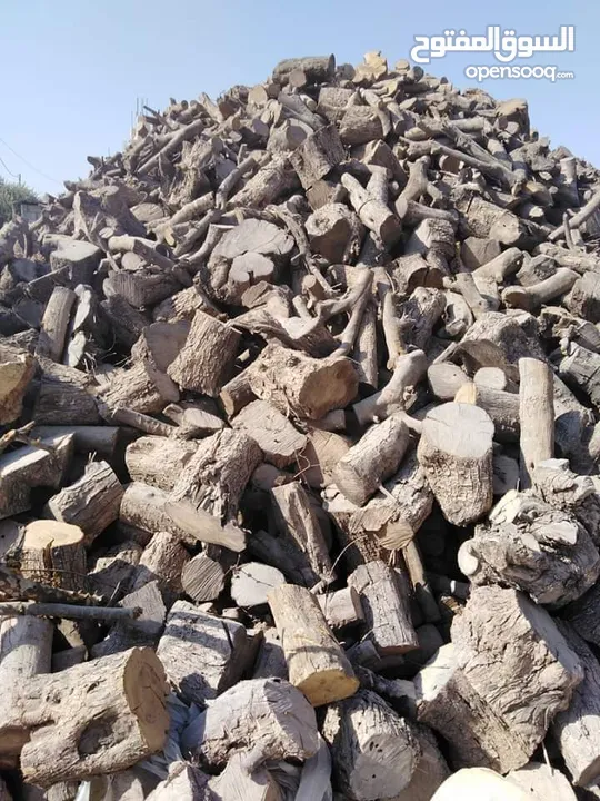 حطب زيتون للبيع