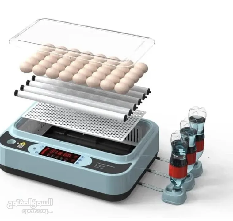 حاضنة بيض بسعة 24-36 بيضة  An egg incubator with a capacity of 24-36 eggs.