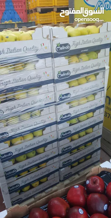 مشروع تجاري مربح