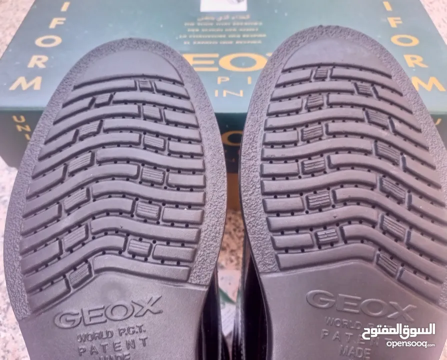 حذاء رجالي نوع GEOX الاصلي جديد
