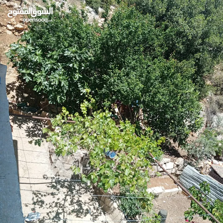 منزل مستقل للبيع في عرجان للاستفسار على هاذ الرقم