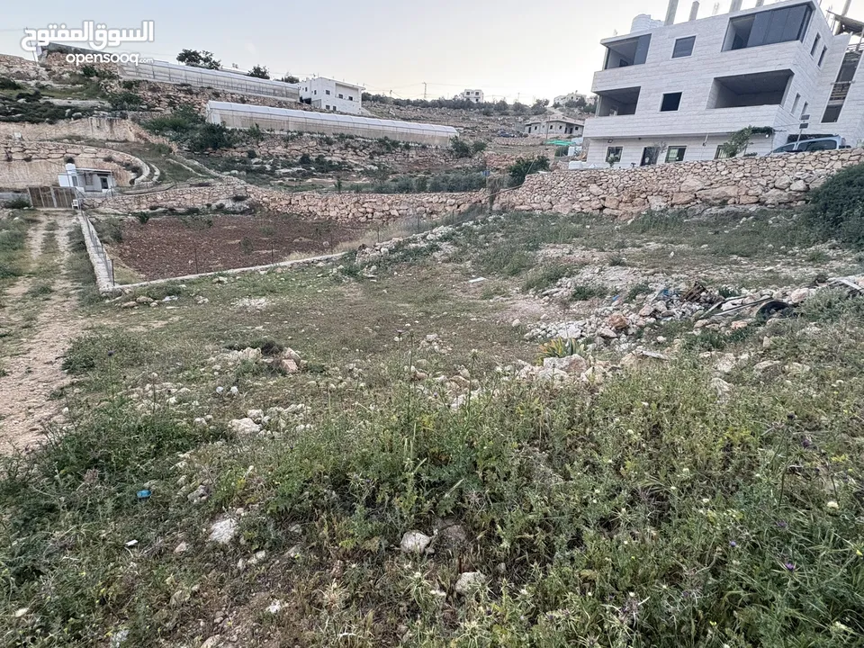 ارض في دورا منطقة الصرة تصنيف A طابو