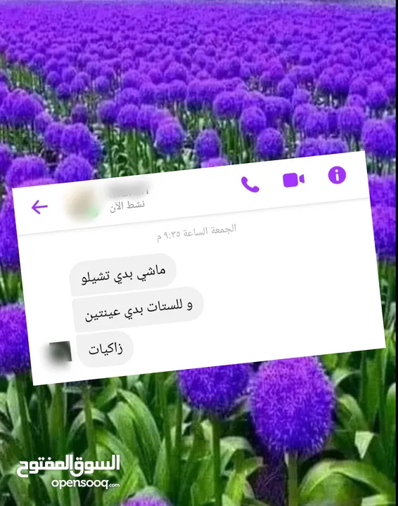 عطور أوزاريج الإماراتية الأصلية للرجال والنساء ..