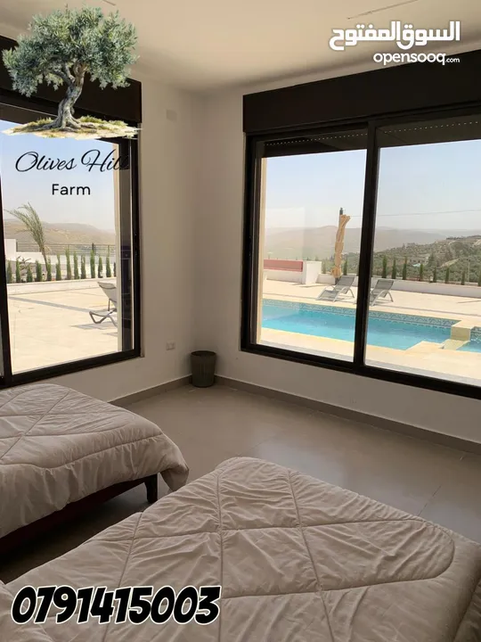 اوليفز هل فارم olives hill farm مزرعة فخمة للايجار