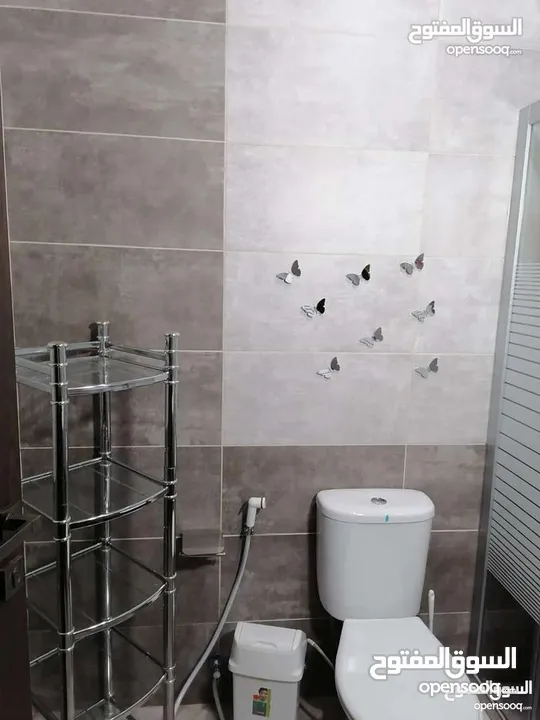 Furnished apartment for rent in the Seventh Circle area