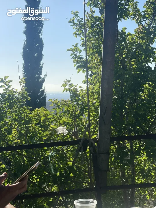 منزل للبيع ع شارع الرئيسي