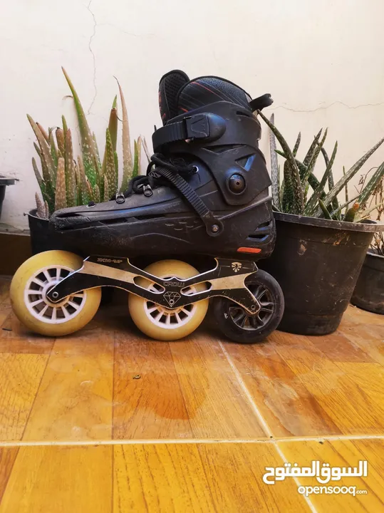 Skate F110X اسكيت فلاينج ايجل