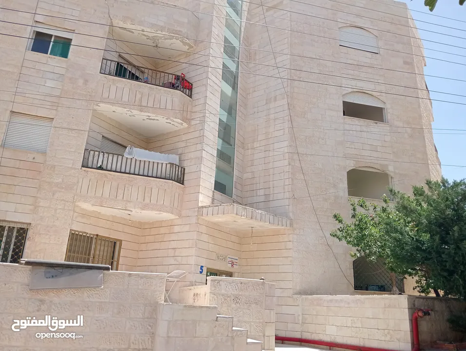 شقة فارغة من المالك مباشره للعائلات فقط