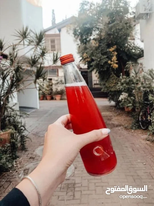 مشروب Indigo طبيعي غني بالمكونات النباتية  Indigo مشروب نباتي لتعزيز النشاط  مشروب صحي بنكهة طبيعية