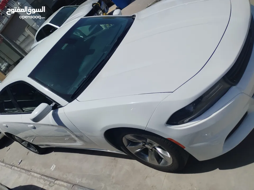 Dodge charger for rental model 2019