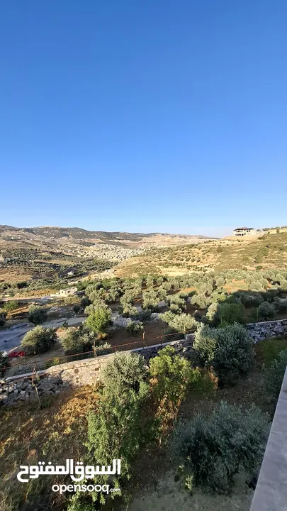 مزرعة وشاليه في جرش