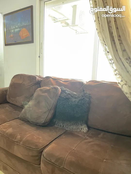 طقم شاموا أمريكي