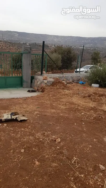 أرض زراعية مجهزة بالكامل عالية و مشرفة مزروعة زيتون مثمر و أشجار واصل جميع الخدمات