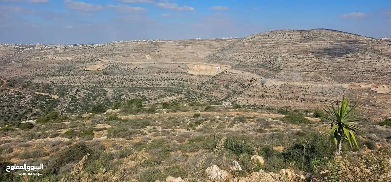 قطعة أرض للبيع  في عطارة رام الله