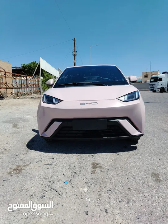 بي واي دي سيجيل 2023 بطارية 305