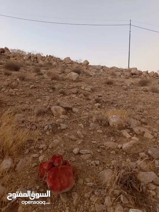قطعة ارض مميزة جدا في ضاحية المدينة