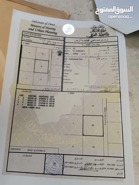 مشروع تربية دواجن