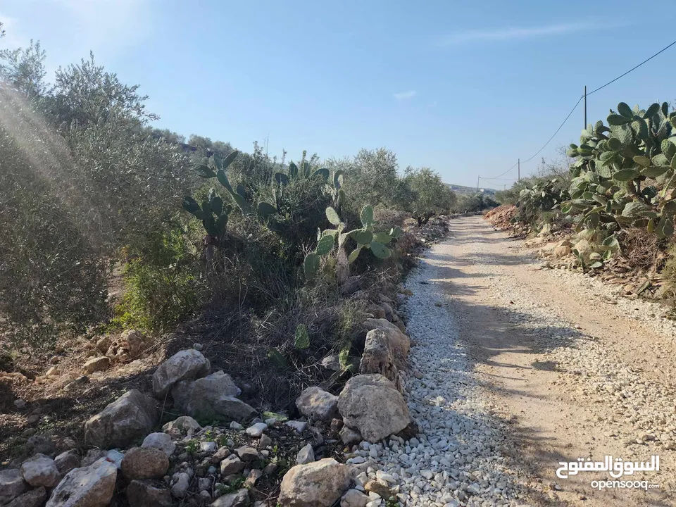 حصة 470م منطقة المنتزة